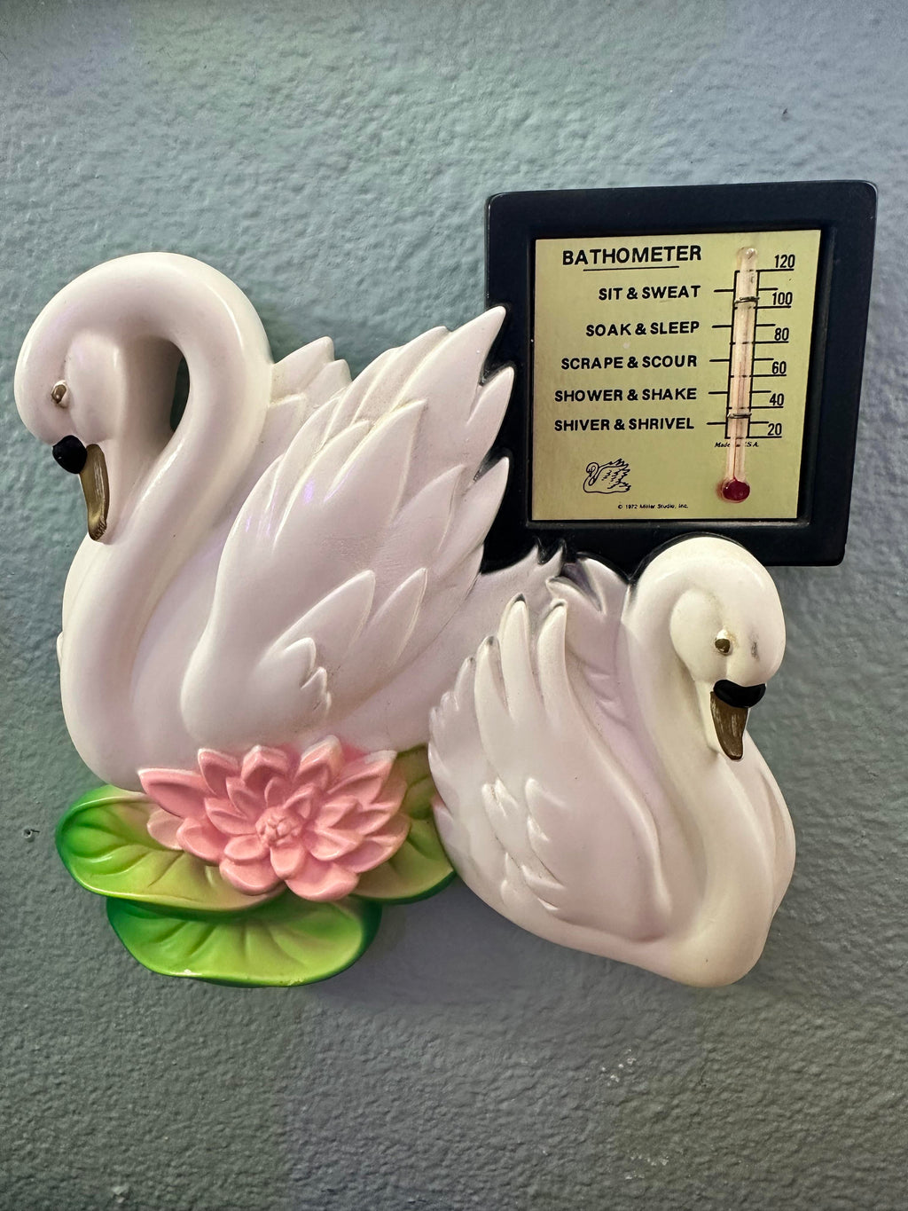 The double swans & Bathometer