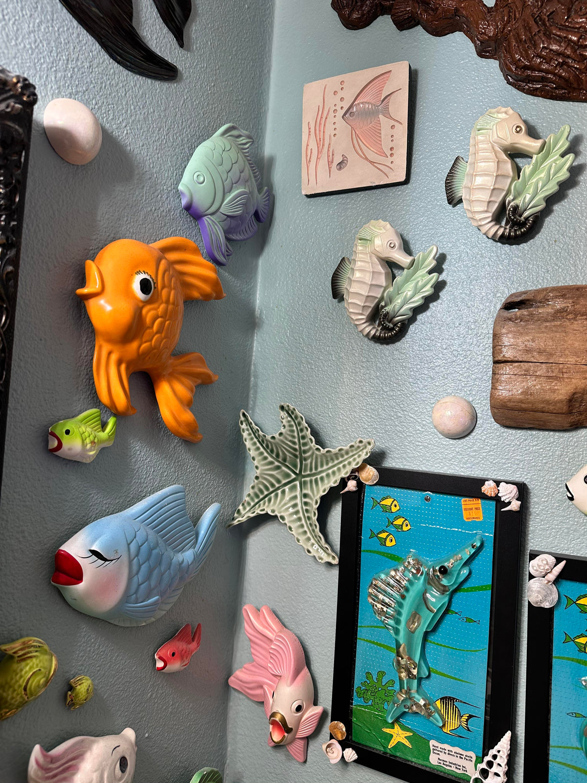 A wall full of aquatic characters